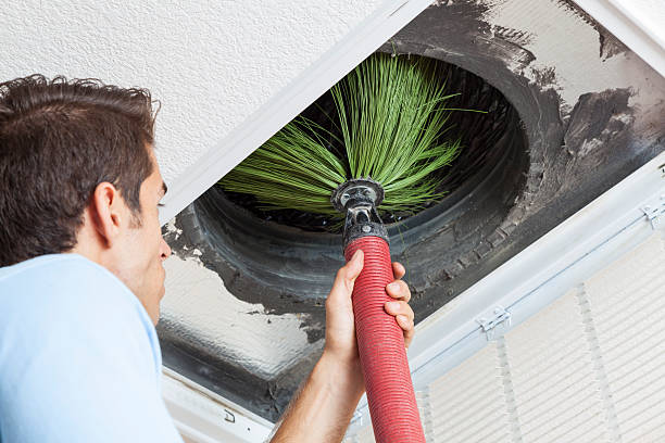 Best Duct Cleaning for Homes  in Steele Creek, AK